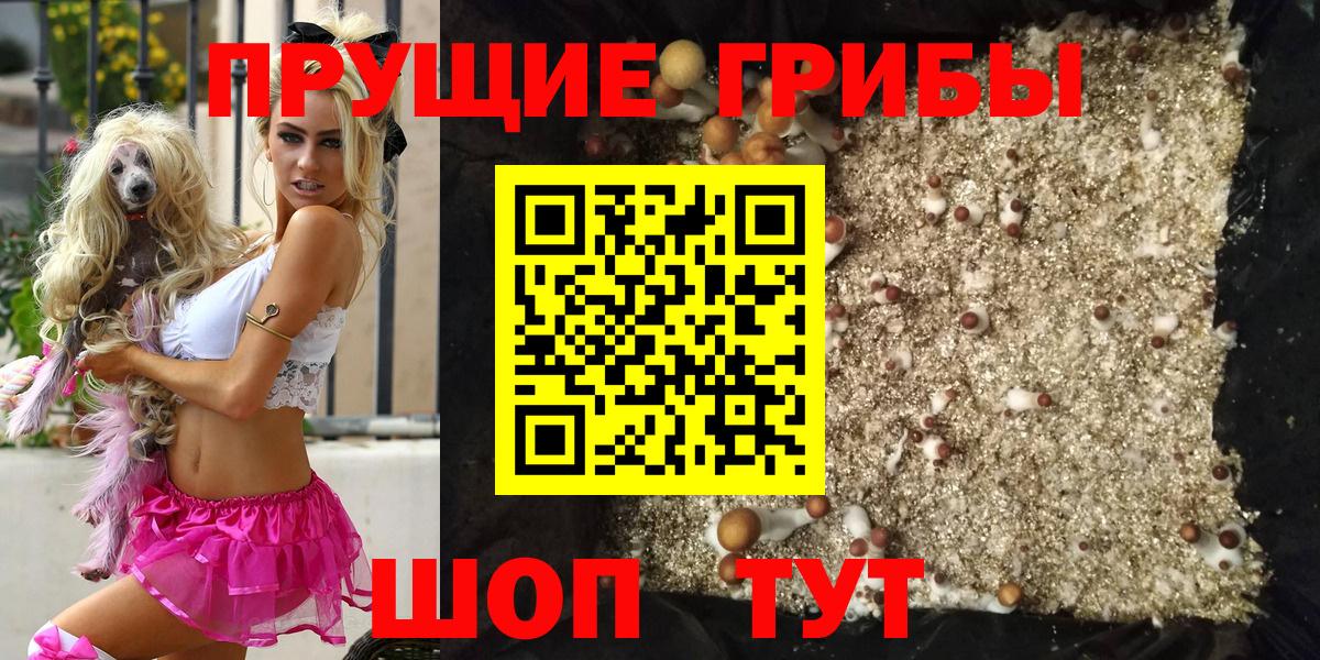 Галлюциногенные грибы Cubensis  Вход с VPN  Асино 
